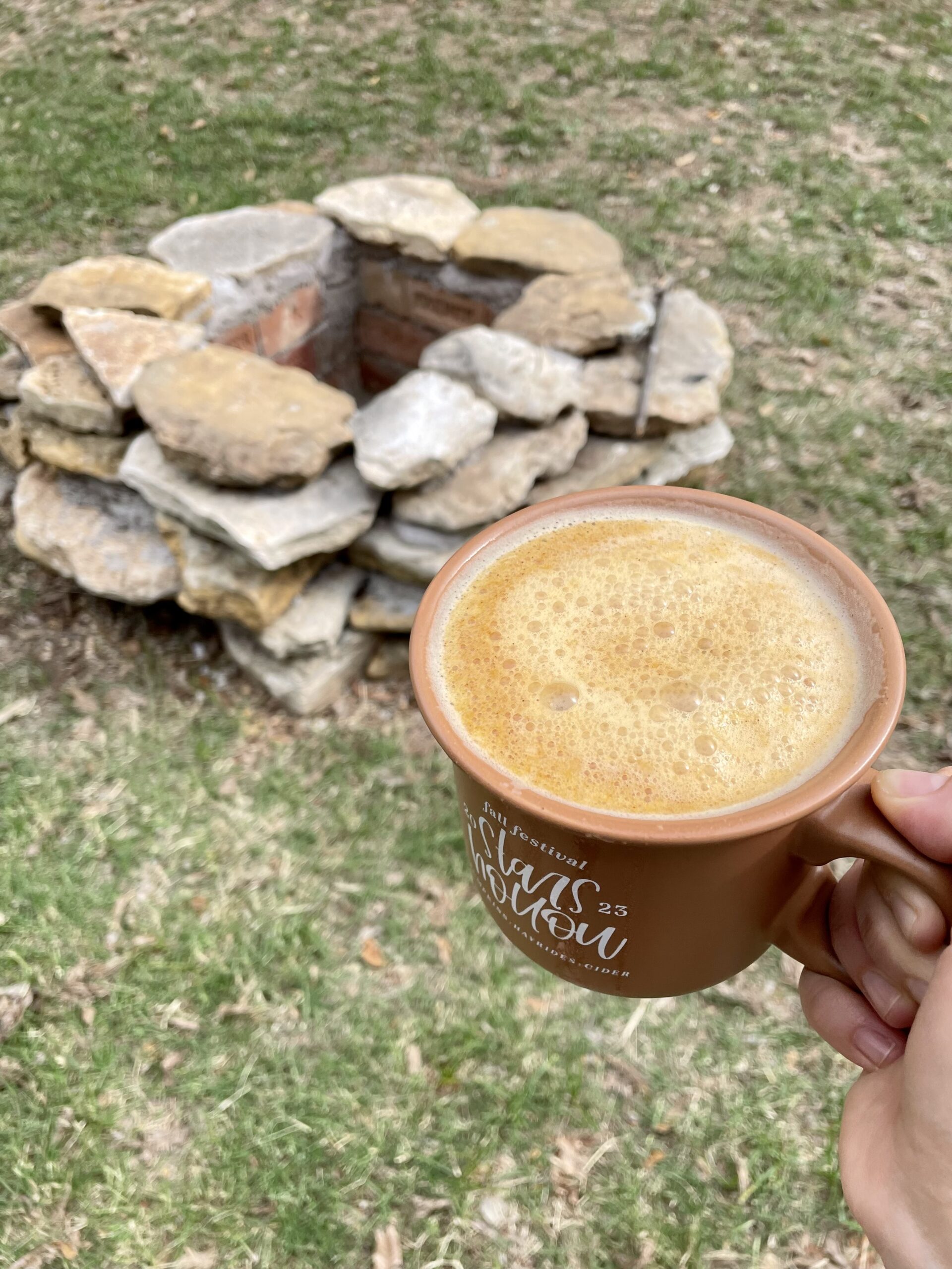 Homemade Dairy Free Pumpkin Spice Creamer